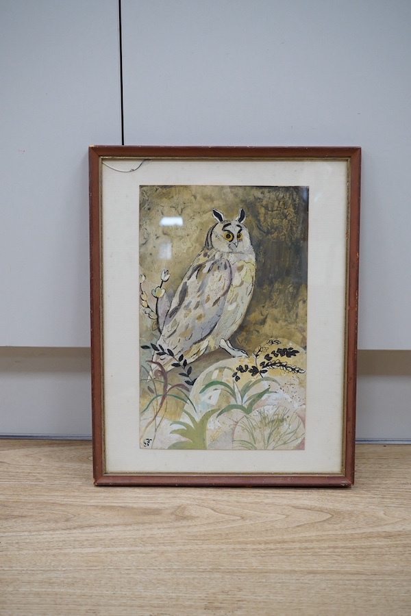 Gwyneth Johnstone (Daughter of Augustus John, 1914-2010), watercolour, Study of an owl, monogrammed, inscribed verso, 32 x 21cm. Condition - poor to fair